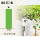 농업회사법인현대유통 이미지