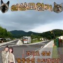 오토오아시스 성남제일점 | ‘성남 율동공원 오토캠핑장’ 캠핑장 후기 및 이용 꿀팁! [캠핑장 No.1]