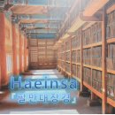 순천-32호 이미지