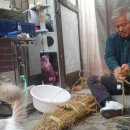 어제는 11월 30일 일요일오후에는 칠금동계시는 김ᆢ 옥님댁에가서 짚얻어다징 채 만들어 봤어요 이미지