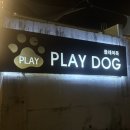 플레이독애견풀빌라 | 가평 마당 짱 넓은 애견 펜션 ‘플레이독애견풀빌라’