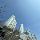 푸른마을주공2단지 201동 앞, CU 건너편 | 대방동-신길동 임장 (관악,상도를 곁들인)