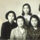 월광사진관 Daum카페