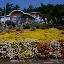 안좌면사무소 이미지