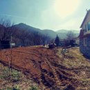 장령산 가든 이미지