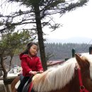 서희목장 이미지