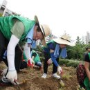 독산1동 주민센터(분소) 이미지