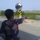 장흥 1리 이미지