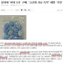 뉴스)국내 비아그라는 고산병치료가 안됨 이미지