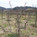 송원공인중개사사무소 이미지