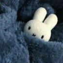 (주)유알지