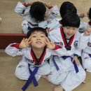 우리나라 태권도 이미지