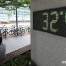 개 쿨 이미지