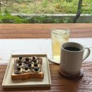초록마을 옥정신도시점 | 옥정 카페 추천｜초록초록한 공간이 매력적인 녹만 방문 후기