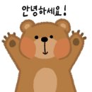 허니베어잉글리쉬