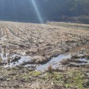 시냇물 농장 이미지