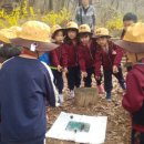 시립죽전어린이집 이미지