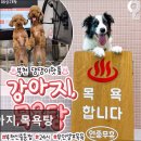 신일목욕탕 | {부천, 강아지, 고양이, 애견미용, 추천!) 강아지,목욕탕 부천 강아지 목욕탕, 청결한 서비스