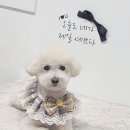 원미용실 - 홍성군 조양로 181 | 원미용실