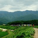 송정교~송강마을 이미지