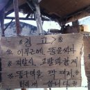 마시꼬 이미지
