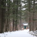 오대산 달빛 이미지