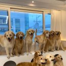 새마을 유치원 이미지