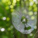 하모니-가을 이미지