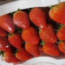 보은학림농장 이미지