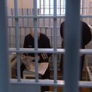 죽어야만 빠저 나올수 있는 러시아 돌고래 교도소 이미지