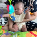 이시아약국 | 7월-3, 육아의 맛