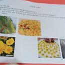 또래울협동조합 이미지