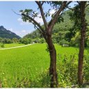 오크밸리민박펜션 이미지