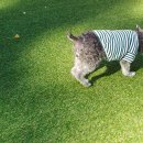 부산펫(주) 이미지