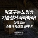 2020 9/29 [논평] 마포구는 노점상 기습 철거 사과하고 상생방안을 통해 진짜 ‘소통과 혁신으로 더 크고 행복한 마포’를 만들어라 이미지