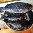 큰코지아침 이미지