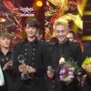 샤이니독 이미지