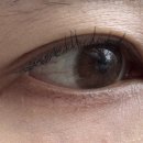 안경나라 위드렌즈 청주용암점 이미지