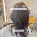 식사동 일산 미용실 메종드 아이디헤어 위시티2관에서 톤업염색 또간집 후기!