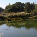 신관원제 이미지