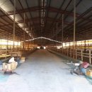 매정농장 이미지