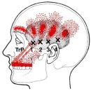 아름토목 | 四字成語 총정리 <ㄱ> 797 교관훈련~교기초자