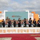 삼양교통(주) 이미지