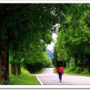 진안산소 이미지