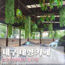 대현농장 | 대구 동구 카페 슬로우벗베럴 대형 베이커리 빵 먹으러 갔다가 인생샷 건진 곳