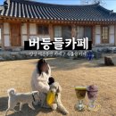 버등들 | [양양여행] 애견동반 가능한 식물원 카페 버등들카페