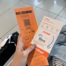 보름모바일 | [DAY 01]🍊제주도 보름살이 레츠고! (+첫 혼자 여행)