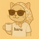 용지온천 | 도미인 마쓰야마 숙소 후기 | 온천, 무료 서비스, 위치까지 완벽했던 호텔