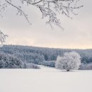 설원태양광 이미지