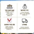 제주도 최저가 농산물 브라보제주 황금향 맛후기